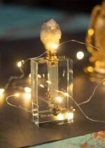 ⁦مسك اكليل الابيض⁩ - الصورة ⁦4⁩